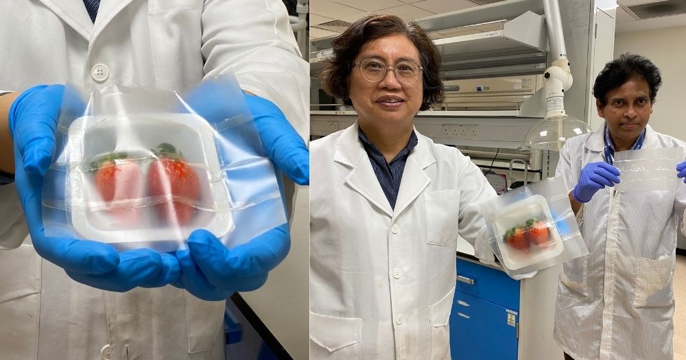 可生物降解的柔性食品包裝_http://www.financialpredictions.com_新聞資訊_第1張